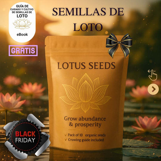 Semillas de Loto Lotus Seeds®-Todo florece cuando tu energía está en armonía… incluso tú