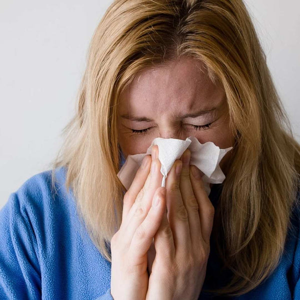 DustOff Limpiador de Ácaros