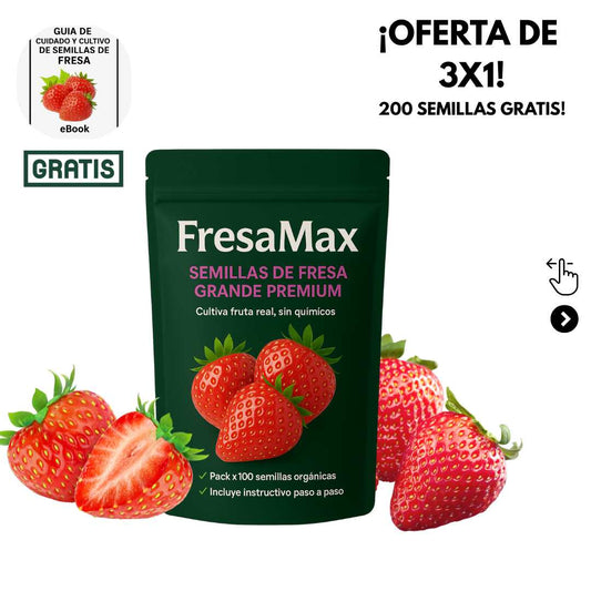Semillas de Fresa Grande Premium |FresaMax® 3x1 (200 semillas gratis)