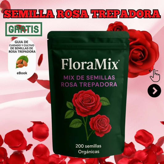 Semillas de Rosa Trepadora Premium | Florex® (200 Semillas)