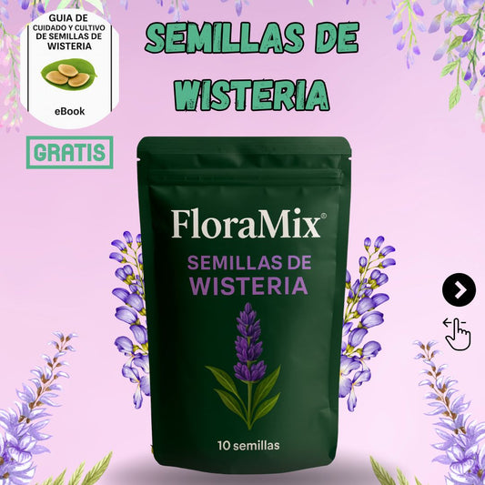 Semillas wisteria FloraMix™ – Elegancia natural en tu hogar